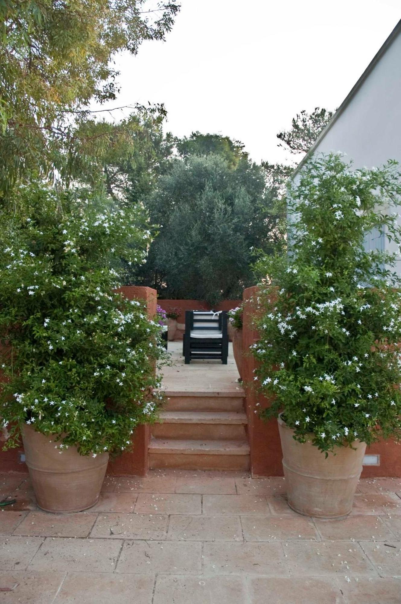 Masseria Montelauro Отранто Экстерьер фото